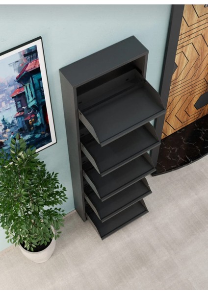 5'li Metal Ayakkabılık modelleri