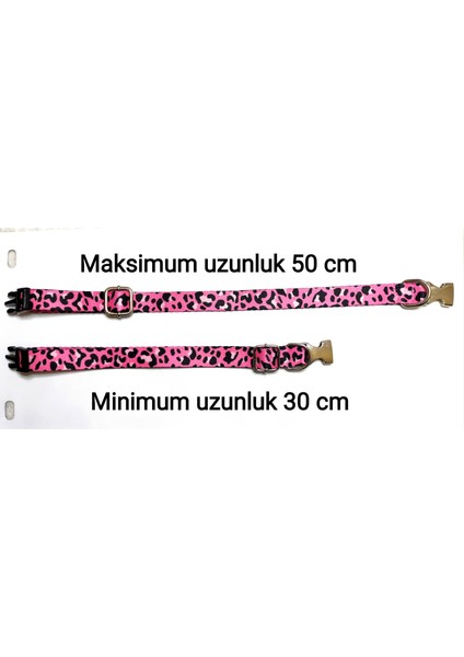 Metal Kilitli Isimli Köpek Tasması ,köpek Künyesi, Köpek Isimlik, Köpek Boyunluk, Isme Özel Tasma fiyatları