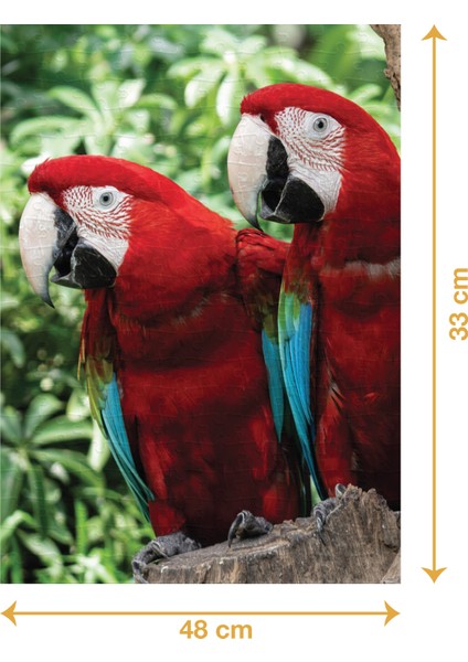 Papağan - 200 Parçalı Puzzle fiyatları