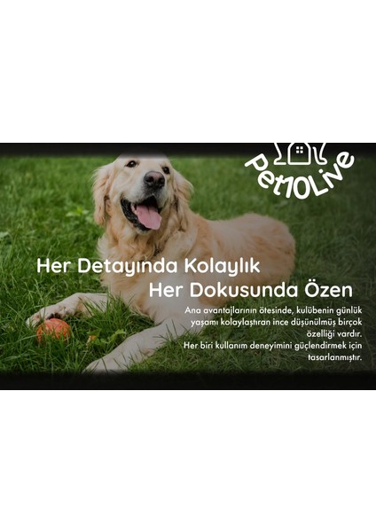 Merkür Küçük Small - Irk Hafif Beton Köpek Kulübesi – Premium Koku Yapmaz, Parazit Barındırmaz, Doğal Izolasyonlu - Pet On Life