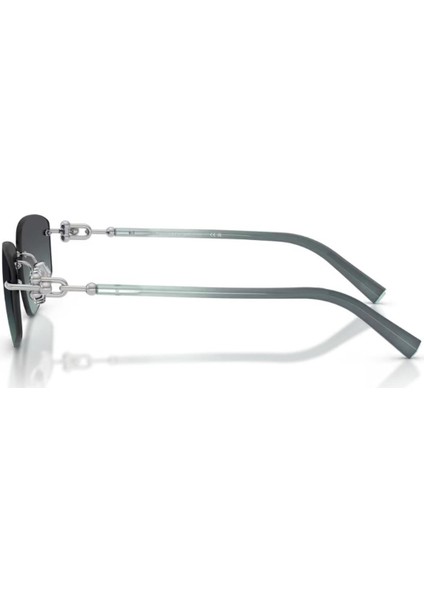 Tıffany&co. Tf 3114 60012G 59 Güneş Gözlüğü fiyatları