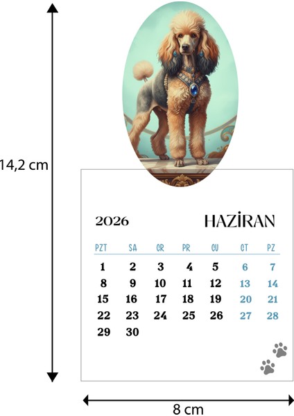 2026 Köpek Takvimi Ahşap Ayaklı Köpek Temalı Özel Tasarım Takvim fırsatları