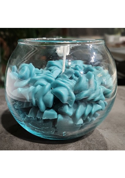 Cam Fanus Içinde Çam Ağaçları Mum