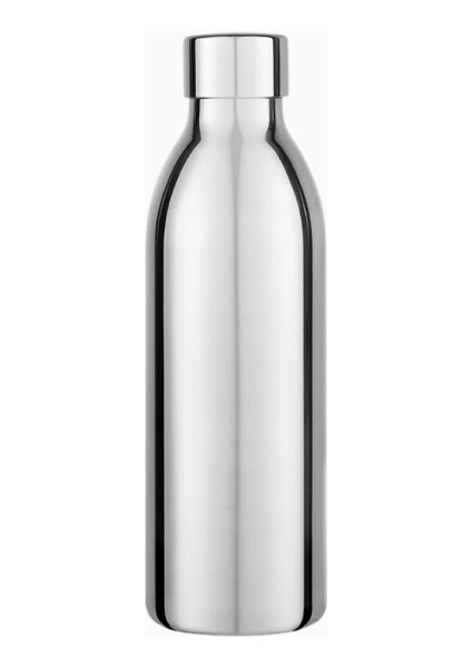 To-Go Bottle Small Çift Cidarlı Termos Şişe 650 ml