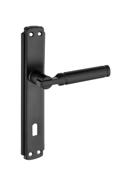 Can Kol Aynalı Siyah Oda Kapı Kolu