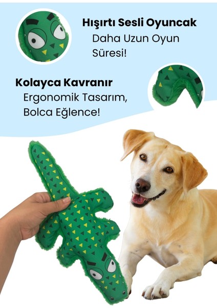 Lotus Timsah Interaktif Oyun Seti – Peluş Timsah Hışırtılı Sesli Köpek Oyuncağı + Lotus Mama Saklama Koklama Topu Zeka ve Aktivite Oyuncağı