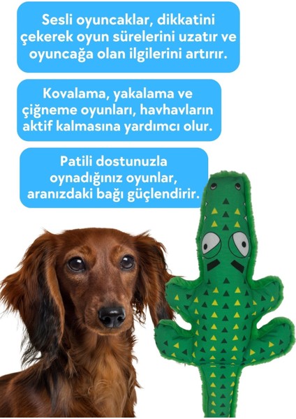 Lotus Timsah Interaktif Oyun Seti – Peluş Timsah Hışırtılı Sesli Köpek Oyuncağı + Lotus Mama Saklama Koklama Topu Zeka ve Aktivite Oyuncağı