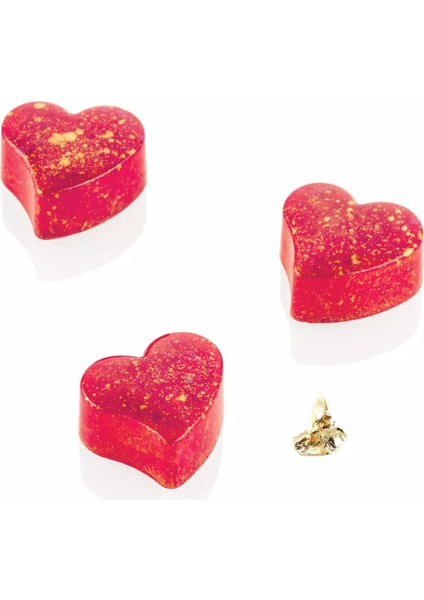 Tesoro-P Polikarbon Çikolata Kalıbı PCH034 - Tesoro-Pp