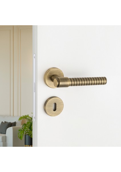 Axel-B Rozetli Kapı Kolu Antik Renk Oda Rozetli