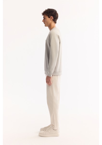 Erkek Gri Bisiklet Yaka Pamuklu Bi-Stretch Baskılı Regular Fit Sweatshirt A52Y1249