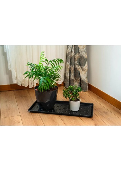 Çok Amaçlı Multi Tepsi 70X34 cm Ayakkabılık , Kedi Köpek Mama , Saksılık , Evye Altı Düzenleyeci modelleri
