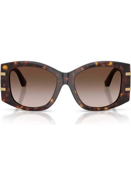 Güneş Gözlüğü Dolce&gabbana DG4501 502/1354