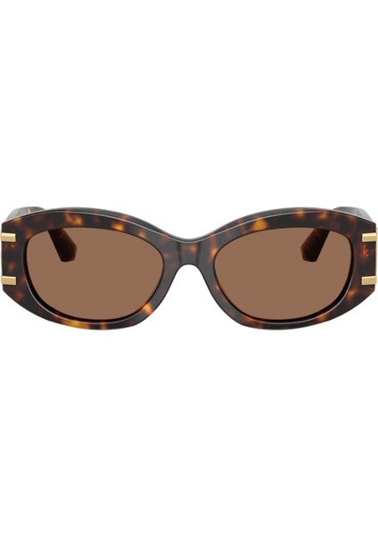 Güneş Gözlüğü Dolce&gabbana DG4502 502/7355