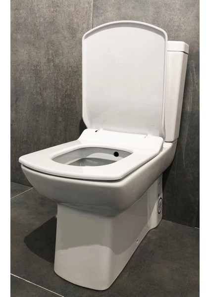 Lara Duvara Dayalı Klozet Seti (4 Parça) (Pp Yavaş Kapak) fiyatları