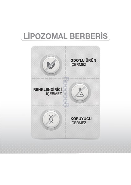 Lipozomal Berberis 30 Tablet