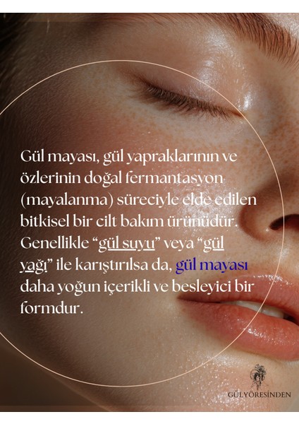 Doğal Gülyağlı Gül Mayası - Yoğun Formül - Aydınlatıcı ve Onarıcı Etkili fırsatları
