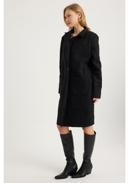 Kırçıllı Kaban fiyatları