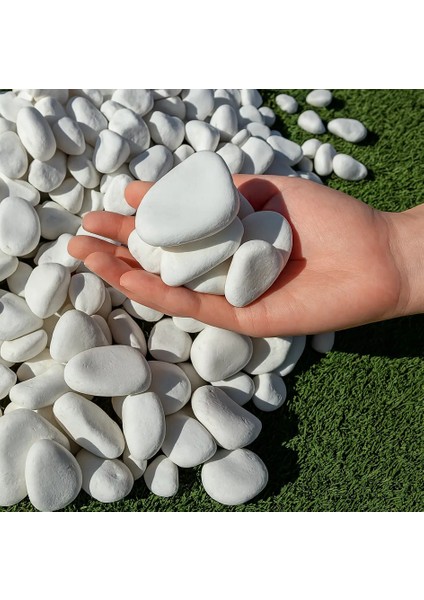 Beyaz Dolomit Taş 2-4 cm 1 kg Dere Taşı Çakıl Taşı Bahçe Süs Taşı Peyzaj Taşı Dekoratif Taş