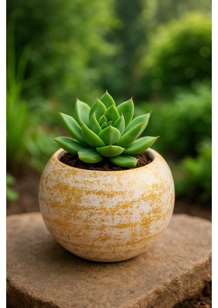 3lü Simli Desenli Seramik Saksıda Yapay Sukulent 8x7,5 cm Dekoratif Masa Üstü Kalemlik Saksı Seti fırsatları
