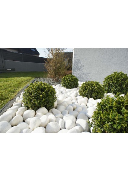 Beyaz Dolomit Taş 6-10 cm 100 kg Dere Taşı Çakıl Taşı Bahçe Süs Taşı Peyzaj Taşı Dekoratif Taş