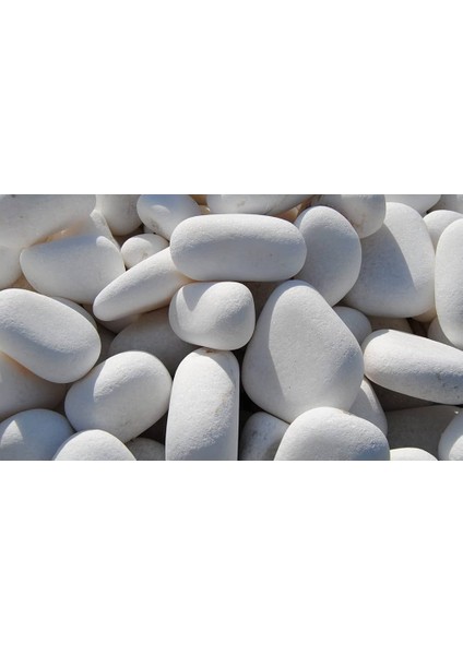 Beyaz Dolomit Taş 6-10 cm 100 kg Dere Taşı Çakıl Taşı Bahçe Süs Taşı Peyzaj Taşı Dekoratif Taş fiyatları