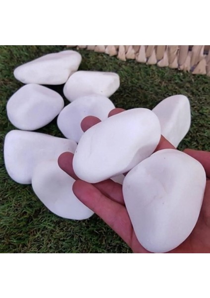 Beyaz Dolomit Taş 4-6 cm 25 kg Dere Taşı Çakıl Taşı Bahçe Süs Taşı Peyzaj Taşı Dekoratif Taş modelleri