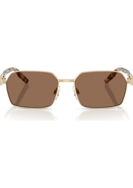 Güneş Gözlüğü Dolce&gabbana DG2316 488/7356