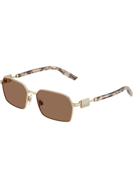 Güneş Gözlüğü Dolce&gabbana DG2316 488/7356 fiyatları