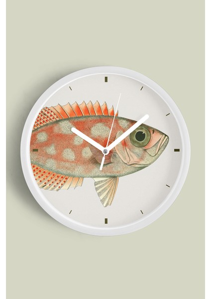 Balık Tasarım Modern Duvar Saati - 30CM - Önü Camlı Beyaz Kasa - Sessiz Mekanizma