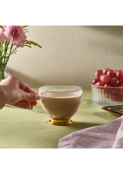 Esin Çizgili Cam Mug 420 ml fiyatları