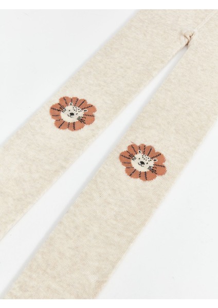 Yeni Sezon Desenli Erkek Bebek Külotlu Çorap 3'lü fiyatları