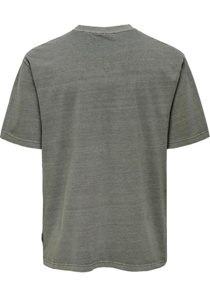 Onsdıstress Rlx Ss Tee Erkek Gri T-Shirt - OS22030505 fiyatları