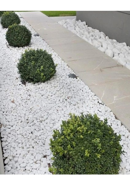 Beyaz Dolomit Taş 2-4 cm 5 kg Dere Taşı Çakıl Taşı Bahçe Süs Taşı Peyzaj Taşı Dekoratif Taş modelleri