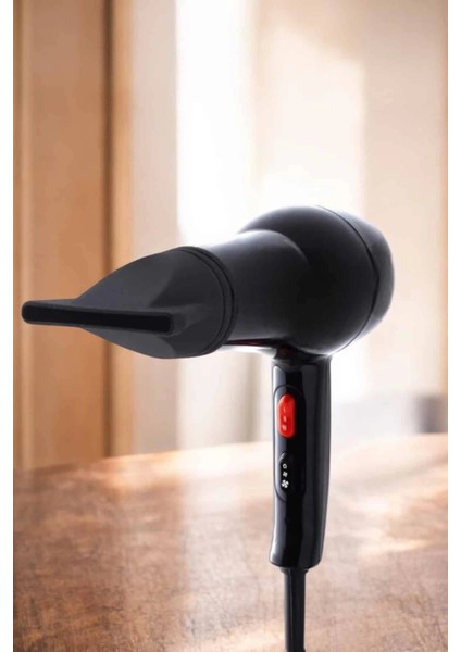 Soğuk ve Sıcak Üfleme Özellikli Ac Motorlu Saç Kurutma Makinesi indirimleri