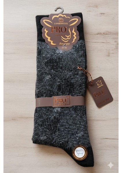 ; Lambswool (Yün) Erkek Çorap; Dikişsiz; Asorti 5'li Paket