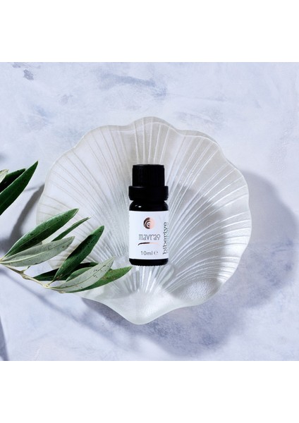 Biberiye Uçucu Yağı