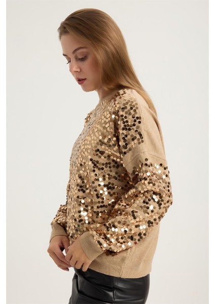 Dik Yaka Pul Payetli Triko fiyatları