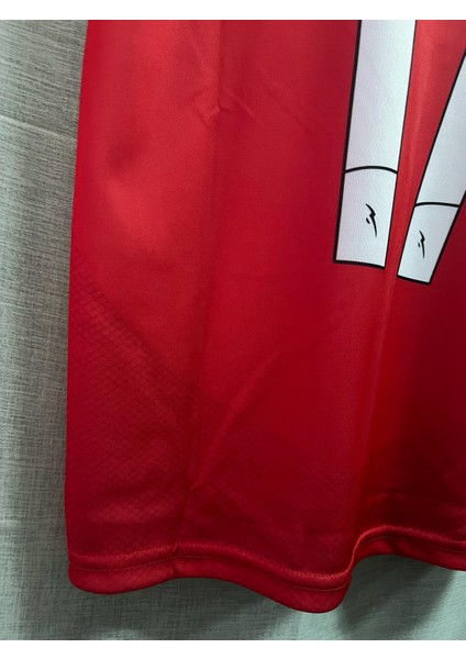 Yeni Sezon Benfica 2024/2025 Kerem Aktürkoğlu Forması Kırmızı indirimleri