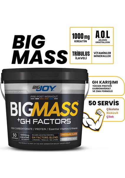 Bigjoy Bigmass Gh Factors 5000 gr Karbonhidrat Tozu fiyatları