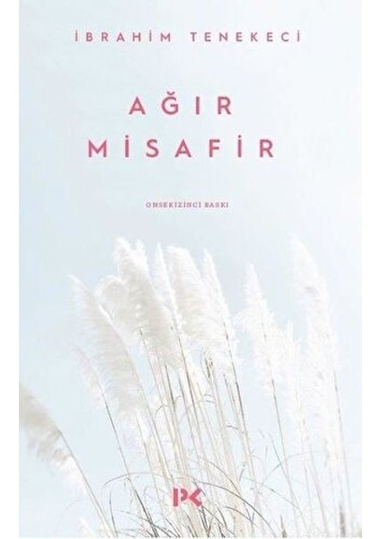 Ağır Misafir