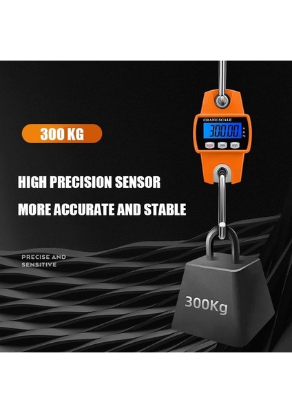 Plt Power Paslanmaz Çelik 300 kg Kapasiteli Elektronik Kancalı Vinç Kantarı modelleri