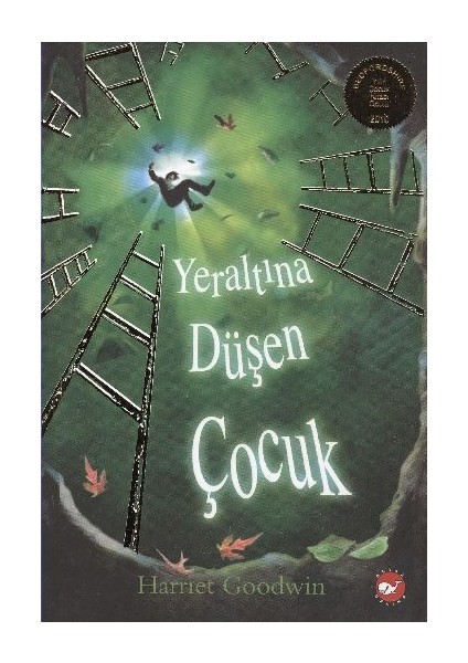 Yeraltına Düşen Çocuk