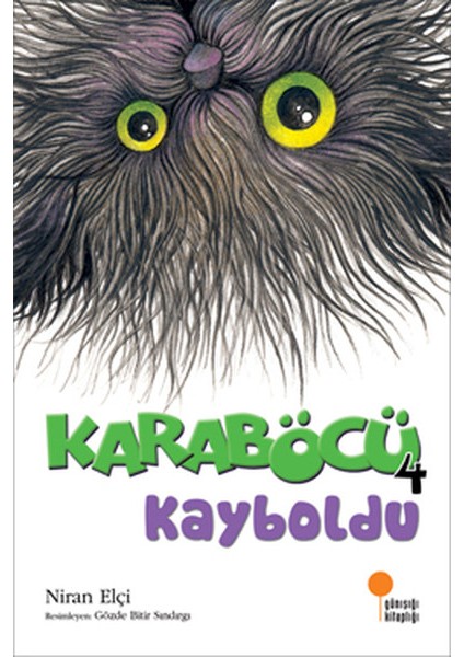 Karaböcü Kayboldu