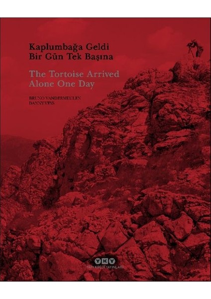 Kaplumbağa Geldi Bir Gün Tek Başına