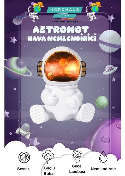 Ay Şekilli Gece Lambalı Bebek Çocuk Odası 240 ml Hava Nemlendirici TP-1036