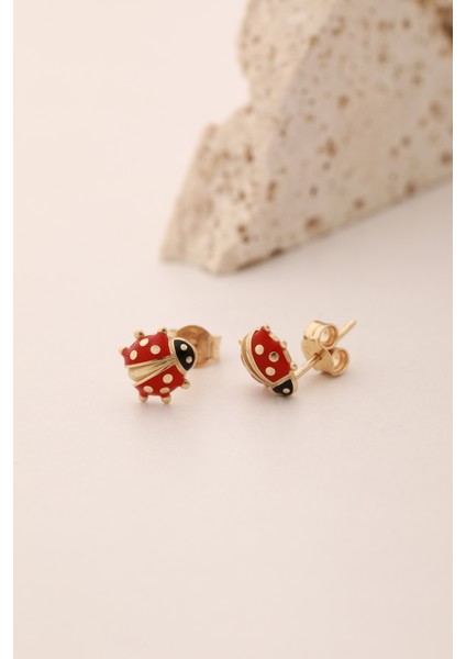 14 Ayar Altın Uğur Böceği Top Küpe