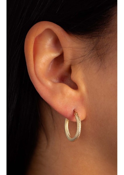 Kadın Sarı 14 Ayar Altın Kalemli Halka Küpe fiyatları