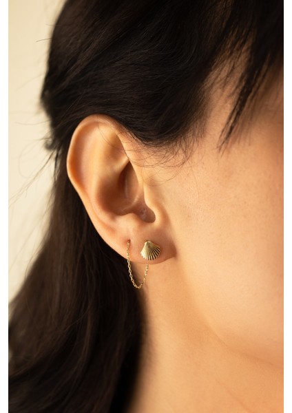 Zincir Sallantı Deniz Kabuğu Küpe fiyatları