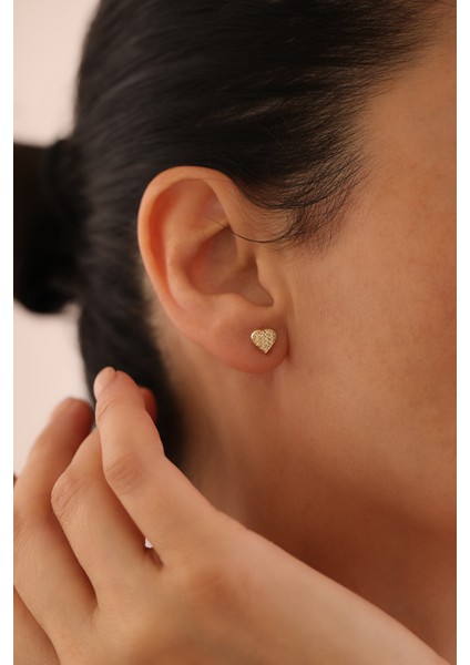 14 Ayar Altın Kalemli Kalp Top Küpe