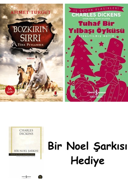 Bozkırın Sırrı + Tuhaf Bir Yılbaşı Öyküsü + Bir Noel Şarkısı